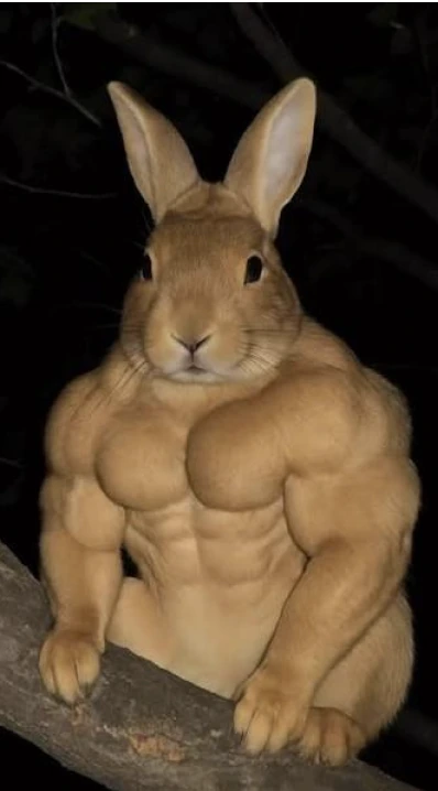 An extremely muscular rabbit. A visual argument for stronger.